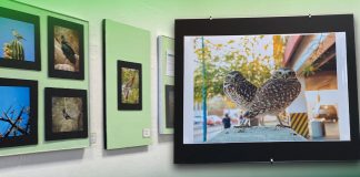 Presentan “Mujeres, aves y naturaleza” en Hermosillo; exposición que destaca el papel de las mujer en la conservación del entorno