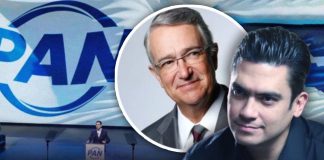 PAN abre la puerta a Salinas Pliego como candidato presidencial en 2030: “No lo descartamos”, dice Jorge Romero