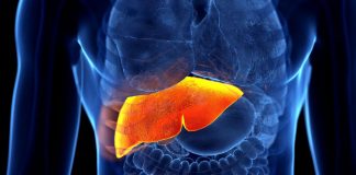 Cuidados para la salud: ¿Cómo evitar hígado graso? Estudio revela