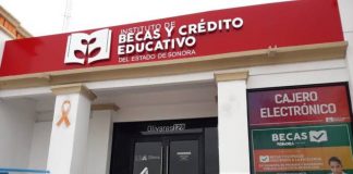 Destinarán presupuesto de mil mdp para becas de estudiantes universitarios en Sonora, serían hasta 50 mil beneficiarios