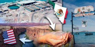 Desaladora para Arizona podría construirse en humedales de Puerto Peñasco