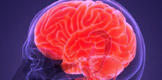 ¿Se puede pensar mejor a través de la comida? Esto dicen los estudios