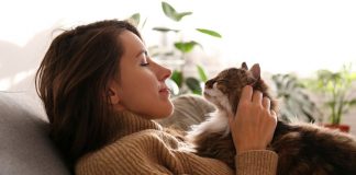 ¿Los gatos sí se encariñan? La ciencia explica cómo eligen a su humano