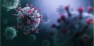 Nueva variante de influenza H3N2 subclado K preocupa a EEUU por baja respuesta a vacunas