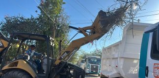 Hermosillo retira 102 toneladas de cacharros en 11 jornadas de descacharre