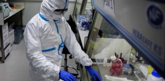 ¿Nueva variante de influenza H3N2 representa riesgo de pandemia? Esto dicen especialistas