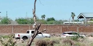 Encuentran hombre sin vida con signos de violencia al surponiente de Hermosillo