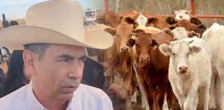 Con 831 mdp, Unión Ganadera de Sonora busca fortalecer exportación de carne en 2026