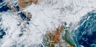 Frente frío 19 llega a México: habrá heladas y lluvias este fin de semana