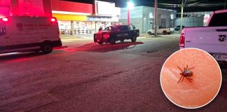 Muere menor en ambulancia del IMSS Bienestar por presunta rickettsia en Hermosillo