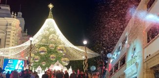 Hermosillo se ilumina del espíritu navideño: encienden tradicional árbol en Centro Histórico