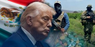 Donald Trump reitera: Podría atacar a cárteles en México, los responsabiliza de la llegada del fentanilo a EEUU