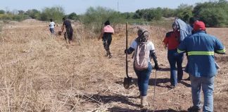 Localizan restos óseos en El Choyudo en Costa de Hermosillo: estarían vinculados a hallazgos anteriores, dice Fiscalía