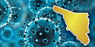 Sonora se mantiene sin casos de “supergripe”, afirma Salud