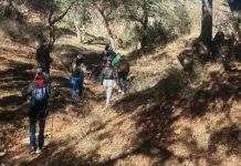 Pedirán Madres Buscadoras apoyo de seguridad por labores en zona de alto riesgo en Sonora