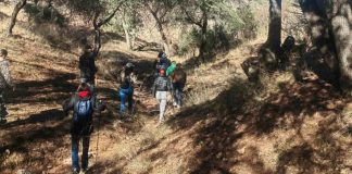 Pedirán Madres Buscadoras apoyo de seguridad por labores en zona de alto riesgo en Sonora