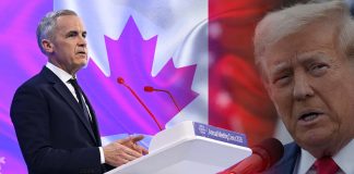 Se defiende primer ministro de Canadá de críticas de Trump: no vivimos por EEUU, afirma