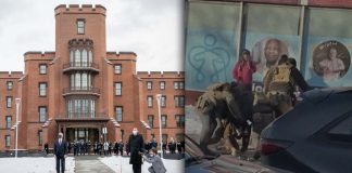 Dos agentes federales dispararon a Alex Pretti, confirma el Departamento de Seguridad Nacional ante el Congreso Dos agentes federales dispararon a Alex Pretti, confirma el Departamento de Seguridad Nacional ante el Congreso