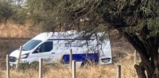 Macabro hallazgo: Localizan restos humanos en bolsas negras en camino de terracería en León