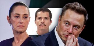 Elon Musk acusa a Sheinbaum de obedecer a cárteles pese a mantener contratos millonarios en México Elon Musk acusa a Sheinbaum de obedecer a cárteles pese a mantener contratos millonarios en México