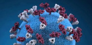 ¿Estás protegido contra el sarampión? Lo que debes saber ante los nuevos brotes