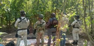 Localizan seis cuerpos en fosa clandestina de 75 metros en Tabasco