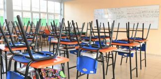 Megapuente de marzo: conoce los 4 días sin clases que tendrán alumnos de educación básica Megapuente de marzo: conoce los 4 días sin clases que tendrán alumnos de educación básica