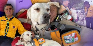 Rocky, el corazón de cuatro patas que guía y protege al Grupo Scout 15 en Hermosillo