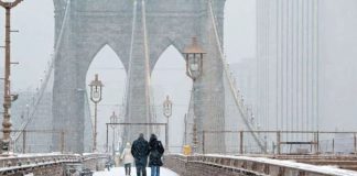 Aumenta cifra a 18 muertos por frente ártico en Nueva York, EEUU