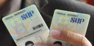 Desplaza CURP a la Cedula Profesional como identificación oficial