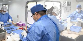 Intensificará Ayuntamiento esterilizaciones de perros y gatos en Bahía de Kino Intensificará Ayuntamiento esterilizaciones de perros y gatos en Bahía de Kino