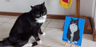 Muere el gato “Palmerston” a los 12 años, exjefe ratonero del Relaciones Exteriores de Gran Bretaña