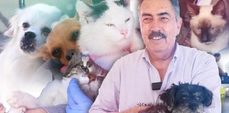 Arranca en Cajeme campaña gratuita de esterilización; realizan cerca de 200 procedimientos en el primer día