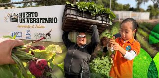 Crearán comedor autosustentable con productos de huerto universitario para apoyar a estudiantes del ITSON