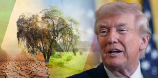 Trump revoca base legal clave contra el cambio climático: ¿Qué significa para México?