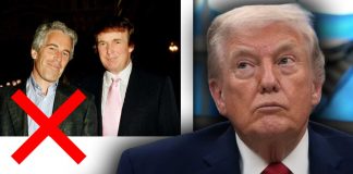 Trump dice que nunca fue “amigo” de Epstein: “Conspiraron para perjudicarme” Trump dice que nunca fue “amigo” de Epstein: “Conspiraron para perjudicarme”