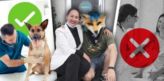 Caso ‘Therians’: Veterinarios no pueden atender personas, advierten especialistas; psicólogas destacan necesidad de atención profesional