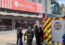 Ave sobre transformador provocó apagón en el centro de Hermosillo, confirma Protección Civil