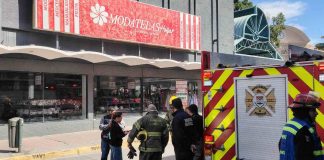 Ave sobre transformador provocó apagón en el centro de Hermosillo, confirma Protección Civil