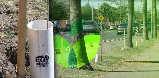 Por un Hermosillo más verde, Caminantes del Desierto realizan jornada de reforestación en espacios cerca de Unison