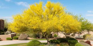 Con premios y exposición, abren convocatoria de fotografía “El Sol del Desierto” en Hermosillo