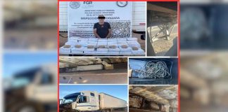 Detienen tractocamión con 100 kilos de metanfetamina en Caborca, Sonora
