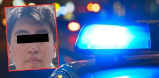 Detienen a joven por robo de tarjetas de anime valuadas en 20 mil pesos Detienen a joven por robo de tarjetas de animé valuadas en 20 mil pesos