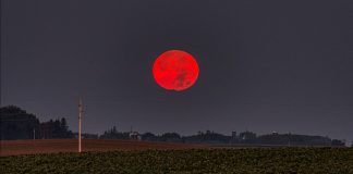 Eclipse lunar total del 3 de marzo de 2026 en México: horarios completos y cómo ver la Luna roja paso a paso Eclipse lunar total del 3 de marzo de 2026 en México: horarios completos y cómo ver la Luna roja paso a paso