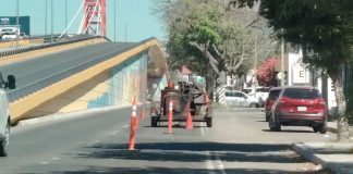 Ayuntamiento de Hermosillo realiza reparación de pavimento y poda en los bulevares Luis Encinas y Morelos