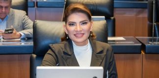 Reforma electoral busca reducir costos y hacer más eficiente la democracia en México: Lorenia Valles