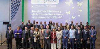 Reunión México-Brasil impulsa colaboración en salud, energía y turismo: SRE