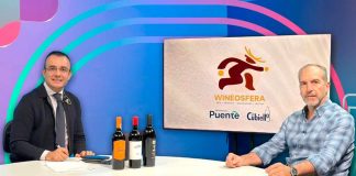 ¿Por qué el vino mexicano parece más caro? La explicación detrás de su precio