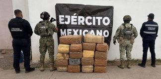 Policía Municipal y Ejército aseguran paquetes de marihuana ocultos en matorrales al oriente de Hermosillo
