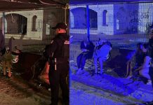 Localizan a dos niñas extraviadas en Bahía de Kino tras intensa búsqueda policial Localizan a dos niñas extraviadas en Bahía de Kino tras intensa búsqueda policial